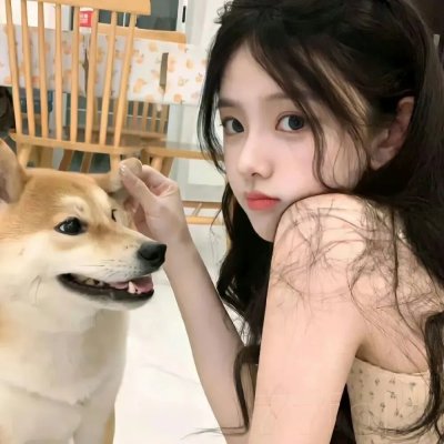 双面赘婿第二季